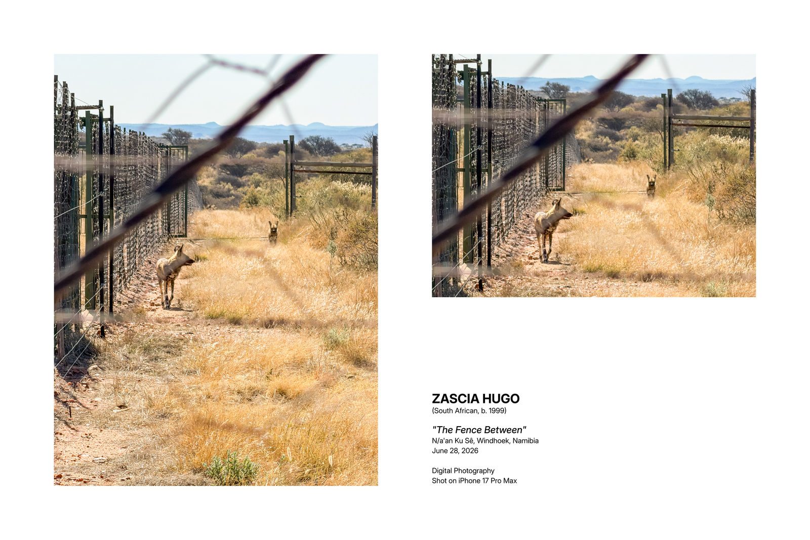 The Fence Between - N/a'an Ku Sê, Windhoek, Namibia